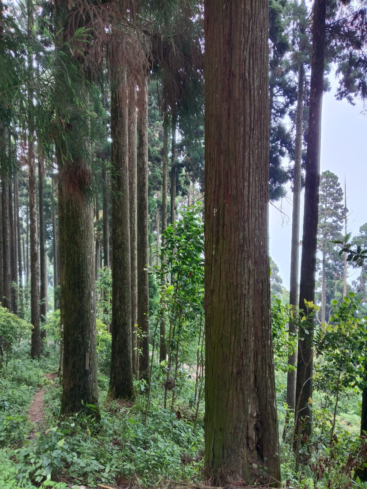 Nature trail near the stay